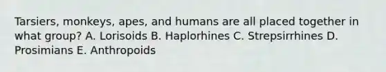 Tarsiers, monkeys, apes, and humans are all placed together in what group? A. Lorisoids B. Haplorhines C. Strepsirrhines D. Prosimians E. Anthropoids