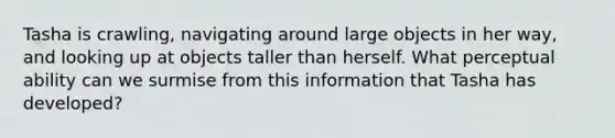 Tasha is crawling, navigating around large objects in her way, and looking up at objects taller than herself. What perceptual ability can we surmise from this information that Tasha has developed?