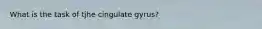 What is the task of tjhe cingulate gyrus?