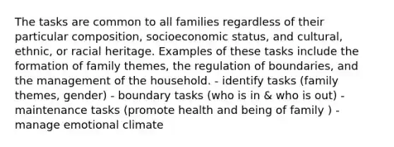 The tasks are common to all families regardless of their particular composition, socioeconomic status, and cultural, ethnic, or racial heritage. Examples of these tasks include the formation of family themes, the regulation of boundaries, and the management of the household. - identify tasks (family themes, gender) - boundary tasks (who is in & who is out) - maintenance tasks (promote health and being of family ) - manage emotional climate