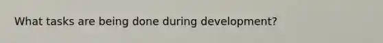What tasks are being done during development?