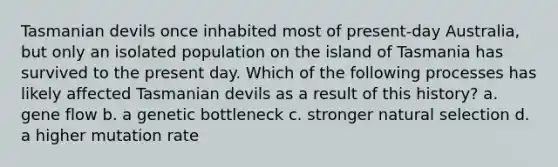 Tasmanian devils once inhabited most of present-day Australia, but only an isolated population on the island of Tasmania has survived to the present day. Which of the following processes has likely affected Tasmanian devils as a result of this history? a. gene flow b. a genetic bottleneck c. stronger natural selection d. a higher mutation rate