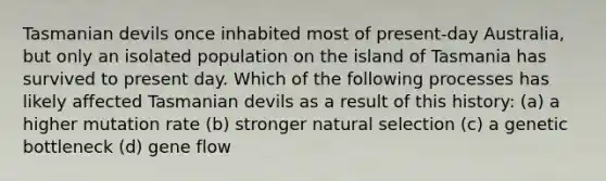 Tasmanian devils once inhabited most of present-day Australia, but only an isolated population on the island of Tasmania has survived to present day. Which of the following processes has likely affected Tasmanian devils as a result of this history: (a) a higher mutation rate (b) stronger natural selection (c) a genetic bottleneck (d) gene flow