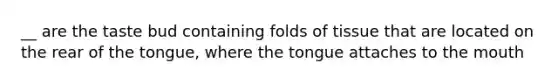 __ are the taste bud containing folds of tissue that are located on the rear of the tongue, where the tongue attaches to the mouth