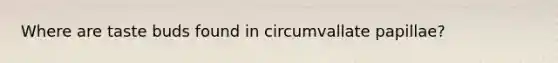 Where are taste buds found in circumvallate papillae?