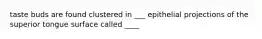 taste buds are found clustered in ___ epithelial projections of the superior tongue surface called ____