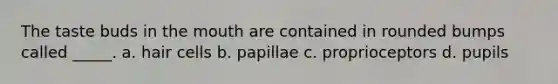 The taste buds in the mouth are contained in rounded bumps called _____. a. hair cells b. papillae c. proprioceptors d. pupils