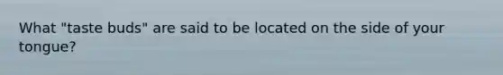 What "taste buds" are said to be located on the side of your tongue?