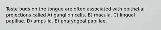 Taste buds on the tongue are often associated with epithelial projections called A) ganglion cells. B) macula. C) lingual papillae. D) ampulla. E) pharyngeal papillae.