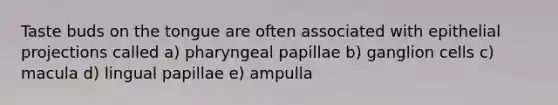 Taste buds on the tongue are often associated with epithelial projections called a) pharyngeal papillae b) ganglion cells c) macula d) lingual papillae e) ampulla