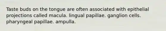 Taste buds on the tongue are often associated with epithelial projections called macula. lingual papillae. ganglion cells. pharyngeal papillae. ampulla.