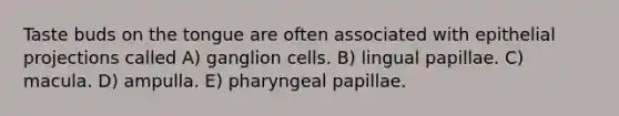 Taste buds on the tongue are often associated with epithelial projections called A) ganglion cells. B) lingual papillae. C) macula. D) ampulla. E) pharyngeal papillae.