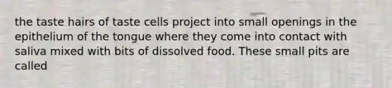 the taste hairs of taste cells project into small openings in the epithelium of the tongue where they come into contact with saliva mixed with bits of dissolved food. These small pits are called