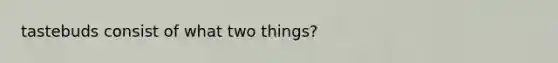 tastebuds consist of what two things?