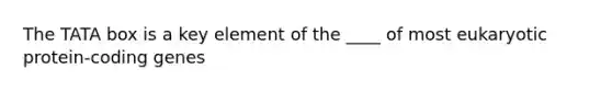 The TATA box is a key element of the ____ of most eukaryotic protein-coding genes