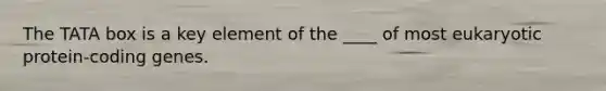 The TATA box is a key element of the ____ of most eukaryotic protein-coding genes.