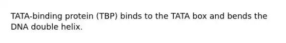 TATA-binding protein (TBP) binds to the TATA box and bends the DNA double helix.