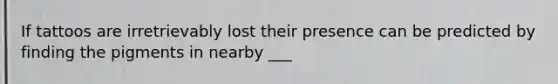 If tattoos are irretrievably lost their presence can be predicted by finding the pigments in nearby ___