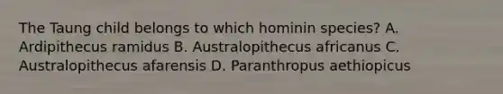 The Taung child belongs to which hominin species? A. Ardipithecus ramidus B. Australopithecus africanus C. Australopithecus afarensis D. Paranthropus aethiopicus