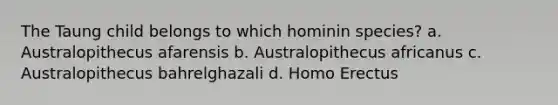 The Taung child belongs to which hominin species? a. Australopithecus afarensis b. Australopithecus africanus c. Australopithecus bahrelghazali d. Homo Erectus