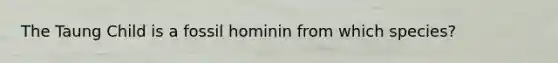The Taung Child is a fossil hominin from which species?
