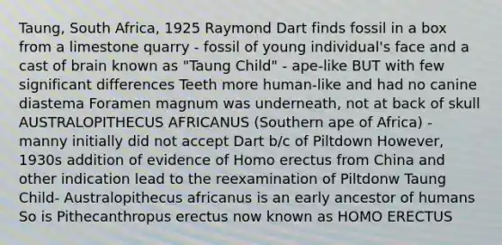 Taung, South Africa, 1925 Raymond Dart finds fossil in a box from a limestone quarry - fossil of young individual's face and a cast of brain known as "Taung Child" - ape-like BUT with few significant differences Teeth more human-like and had no canine diastema Foramen magnum was underneath, not at back of skull AUSTRALOPITHECUS AFRICANUS (Southern ape of Africa) - manny initially did not accept Dart b/c of Piltdown However, 1930s addition of evidence of Homo erectus from China and other indication lead to the reexamination of Piltdonw Taung Child- Australopithecus africanus is an early ancestor of humans So is Pithecanthropus erectus now known as HOMO ERECTUS