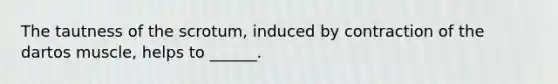 The tautness of the scrotum, induced by contraction of the dartos muscle, helps to ______.