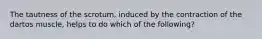 The tautness of the scrotum, induced by the contraction of the dartos muscle, helps to do which of the following?