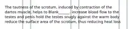 The tautness of the scrotum, induced by contraction of the dartos muscle, helps to Blank______. increase blood flow to the testes and penis hold the testes snugly against the warm body reduce the surface area of the scrotum, thus reducing heat loss