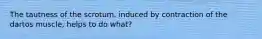 The tautness of the scrotum, induced by contraction of the dartos muscle, helps to do what?