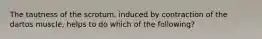 The tautness of the scrotum, induced by contraction of the dartos muscle, helps to do which of the following?