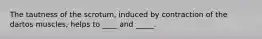 The tautness of the scrotum, induced by contraction of the dartos muscles, helps to ____ and _____.
