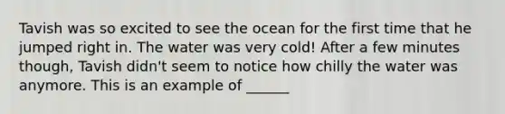 Tavish was so excited to see the ocean for the first time that he jumped right in. The water was very cold! After a few minutes though, Tavish didn't seem to notice how chilly the water was anymore. This is an example of ______