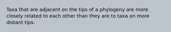 Taxa that are adjacent on the tips of a phylogeny are more closely related to each other than they are to taxa on more distant tips.