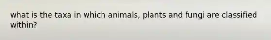 what is the taxa in which animals, plants and fungi are classified within?