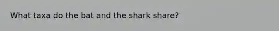 What taxa do the bat and the shark share?