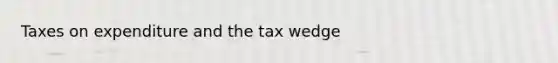 Taxes on expenditure and the tax wedge