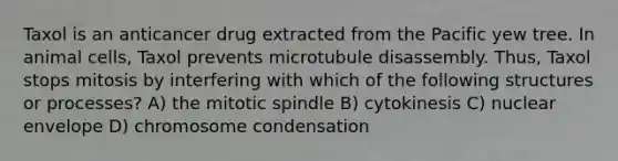 Taxol is an anticancer drug extracted from the Pacific yew tree. In animal cells, Taxol prevents microtubule disassembly. Thus, Taxol stops mitosis by interfering with which of the following structures or processes? A) the mitotic spindle B) cytokinesis C) nuclear envelope D) chromosome condensation