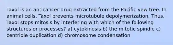 Taxol is an anticancer drug extracted from the Pacific yew tree. In animal cells, Taxol prevents microtubule depolymerization. Thus, Taxol stops mitosis by interfering with which of the following structures or processes? a) cytokinesis b) the mitotic spindle c) centriole duplication d) chromosome condensation