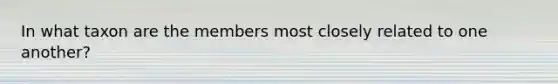 In what taxon are the members most closely related to one another?