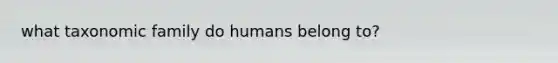 what taxonomic family do humans belong to?