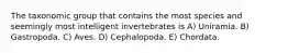 The taxonomic group that contains the most species and seemingly most intelligent invertebrates is A) Uniramia. B) Gastropoda. C) Aves. D) Cephalopoda. E) Chordata.