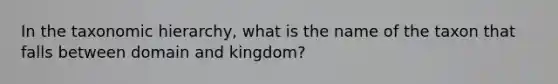 In the taxonomic hierarchy, what is the name of the taxon that falls between domain and kingdom?