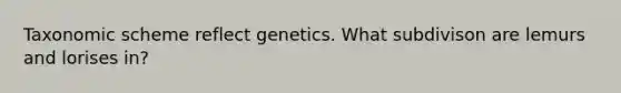 Taxonomic scheme reflect genetics. What subdivison are lemurs and lorises in?