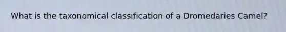 What is the taxonomical classification of a Dromedaries Camel?