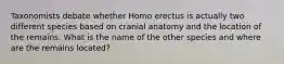 Taxonomists debate whether Homo erectus is actually two different species based on cranial anatomy and the location of the remains. What is the name of the other species and where are the remains located?