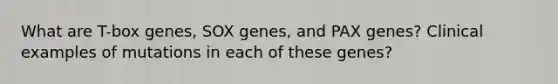 What are T-box genes, SOX genes, and PAX genes? Clinical examples of mutations in each of these genes?