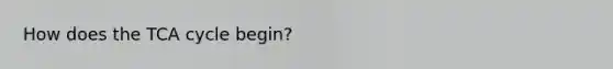 How does the TCA cycle begin?