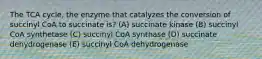 The TCA cycle, the enzyme that catalyzes the conversion of succinyl CoA to succinate is? (A) succinate kinase (B) succinyl CoA synthetase (C) succinyl CoA synthase (D) succinate dehydrogenase (E) succinyl CoA dehydrogenase