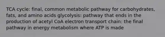 TCA cycle: final, common metabolic pathway for carbohydrates, fats, and amino acids glycolysis: pathway that ends in the production of acetyl CoA electron transport chain: the final pathway in energy metabolism where ATP is made